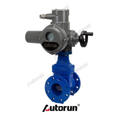Valvola di gate SS elettrica con attuatore multiturno Autorun